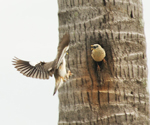 FeedingTime